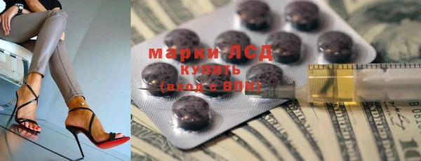 стаф Баксан