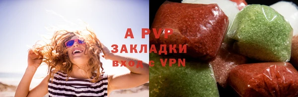 стаф Баксан