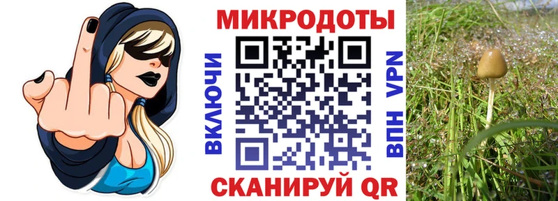 блэк спрут tor  Котельниково  Галлюциногенные грибы MAGIC MUSHROOMS 